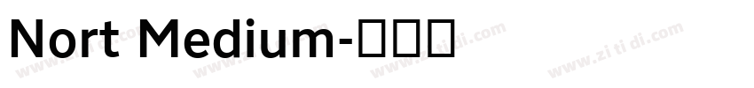 Nort Medium字体转换